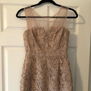 Gorgeous lace BCBG dress